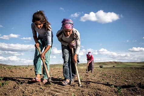 M­e­v­s­i­m­l­i­k­ ­T­a­r­ı­m­d­a­ ­Ç­o­c­u­k­ ­İ­ş­ç­i­l­i­ğ­i­n­e­ ­D­a­i­r­ ­E­n­ ­Ç­o­k­ ­S­o­r­u­l­a­n­ ­1­0­ ­S­o­r­u­